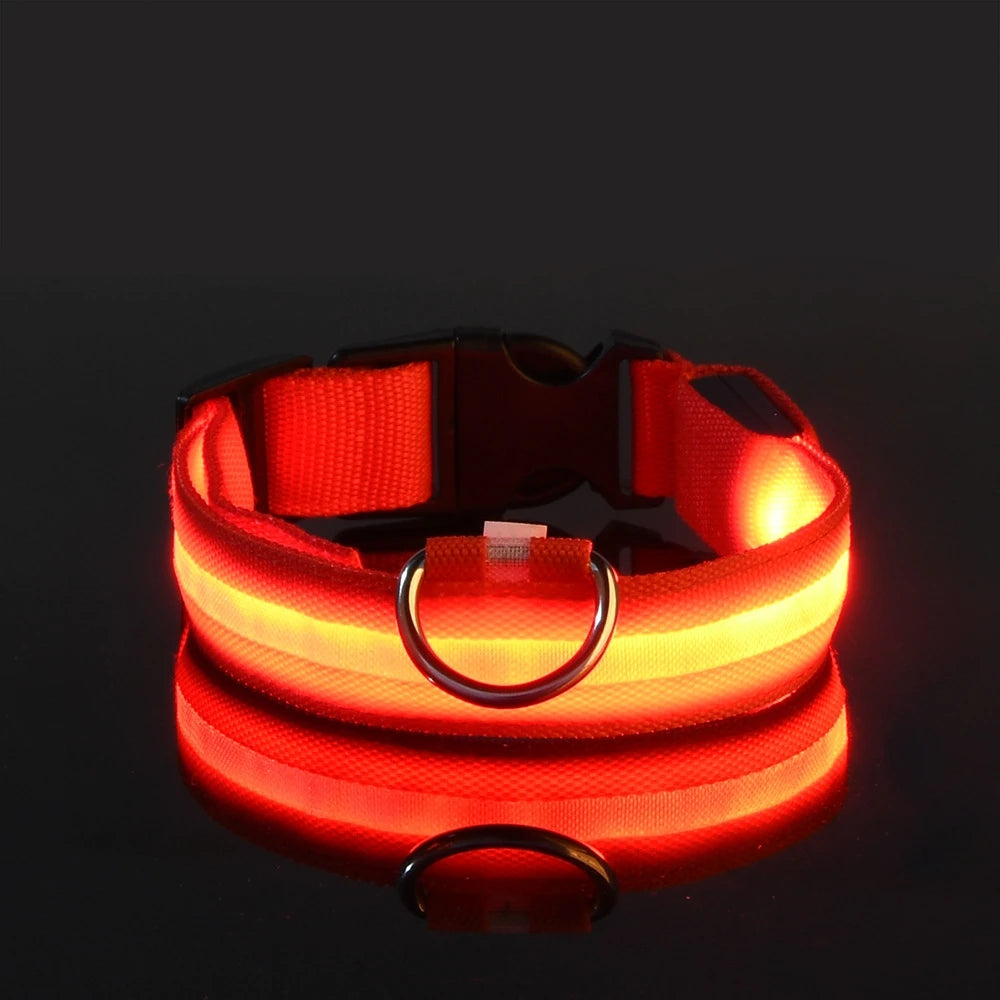 LED Nylon Dog Collar – Night Safety Glow for Dogs