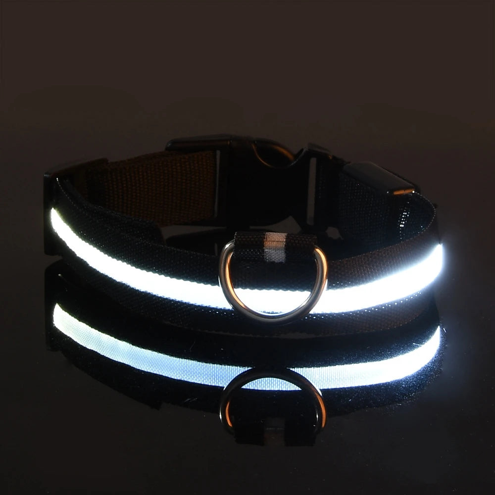 LED Nylon Dog Collar – Night Safety Glow for Dogs