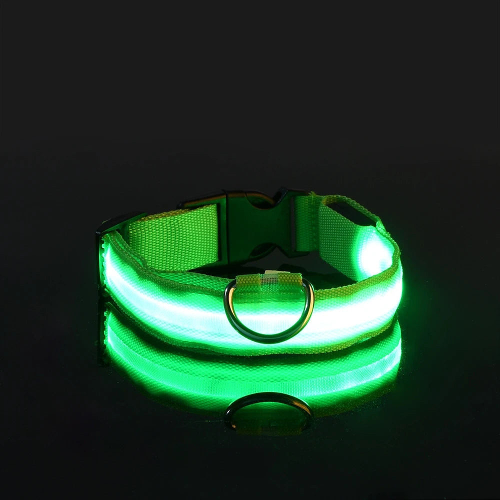 LED Nylon Dog Collar – Night Safety Glow for Dogs