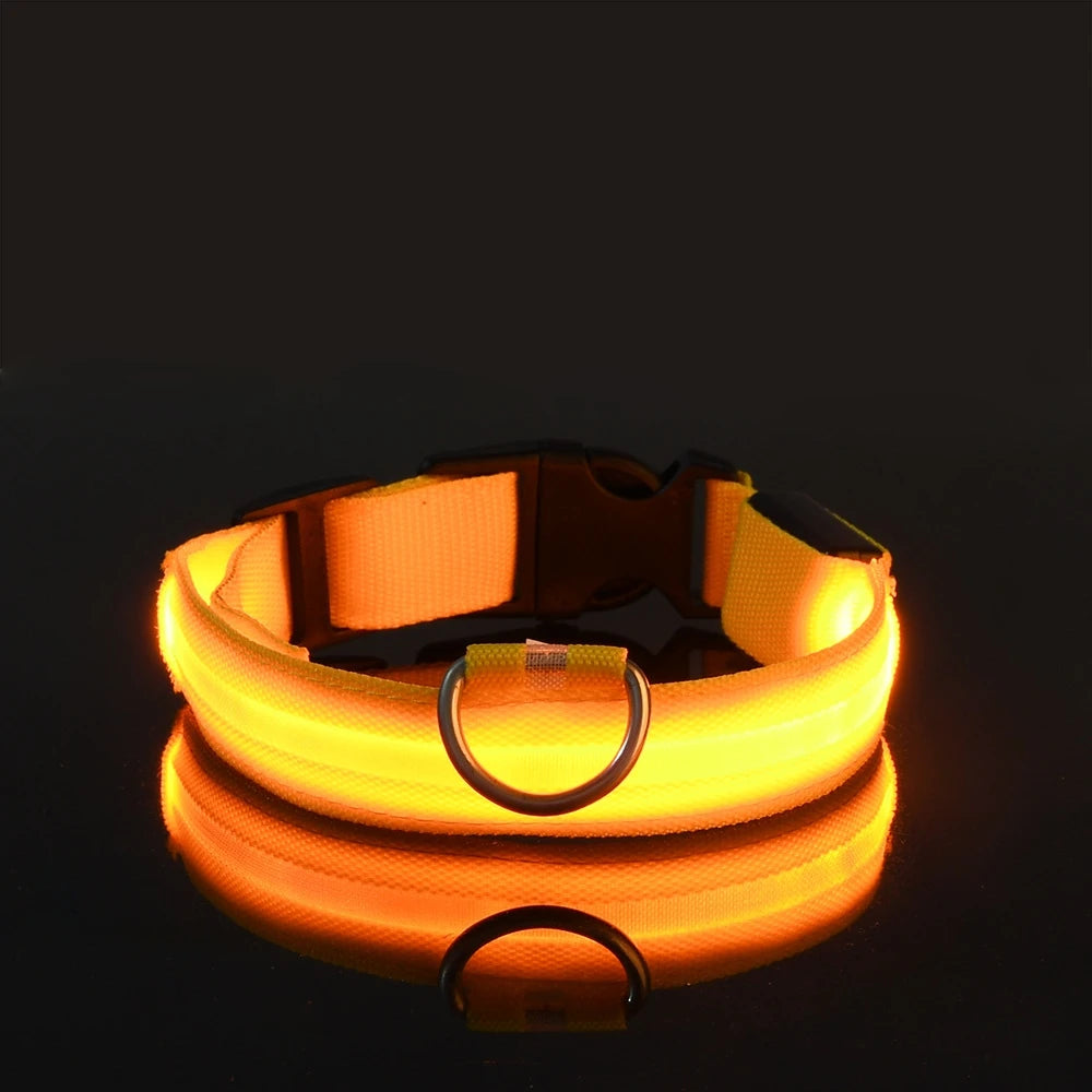 LED Nylon Dog Collar – Night Safety Glow for Dogs