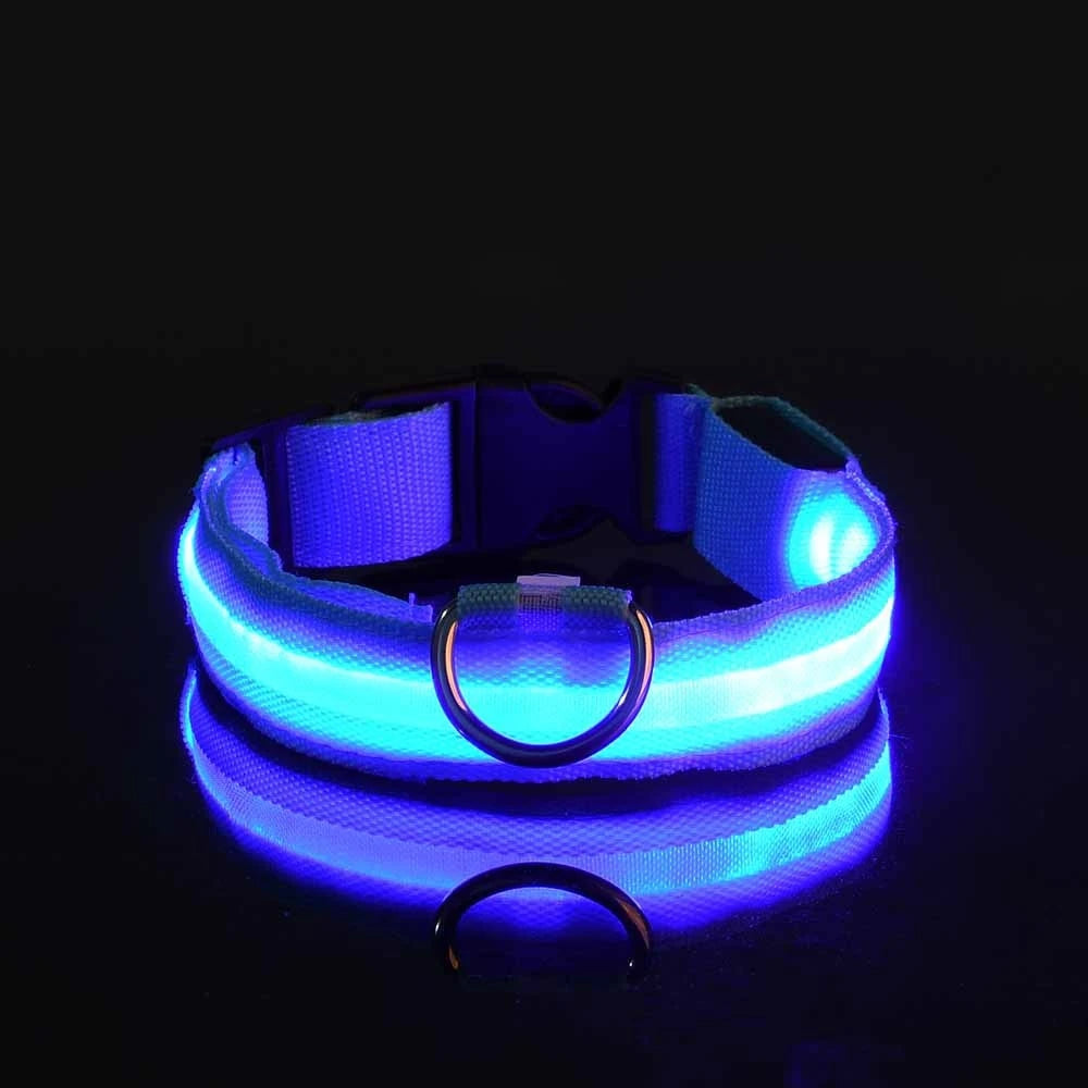 LED Nylon Dog Collar – Night Safety Glow for Dogs