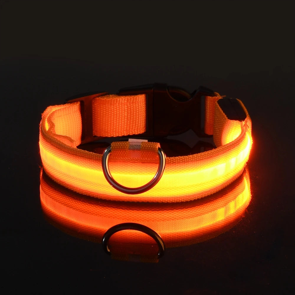 LED Nylon Dog Collar – Night Safety Glow for Dogs