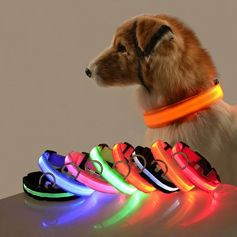 LED Nylon Dog Collar – Night Safety Glow for Dogs