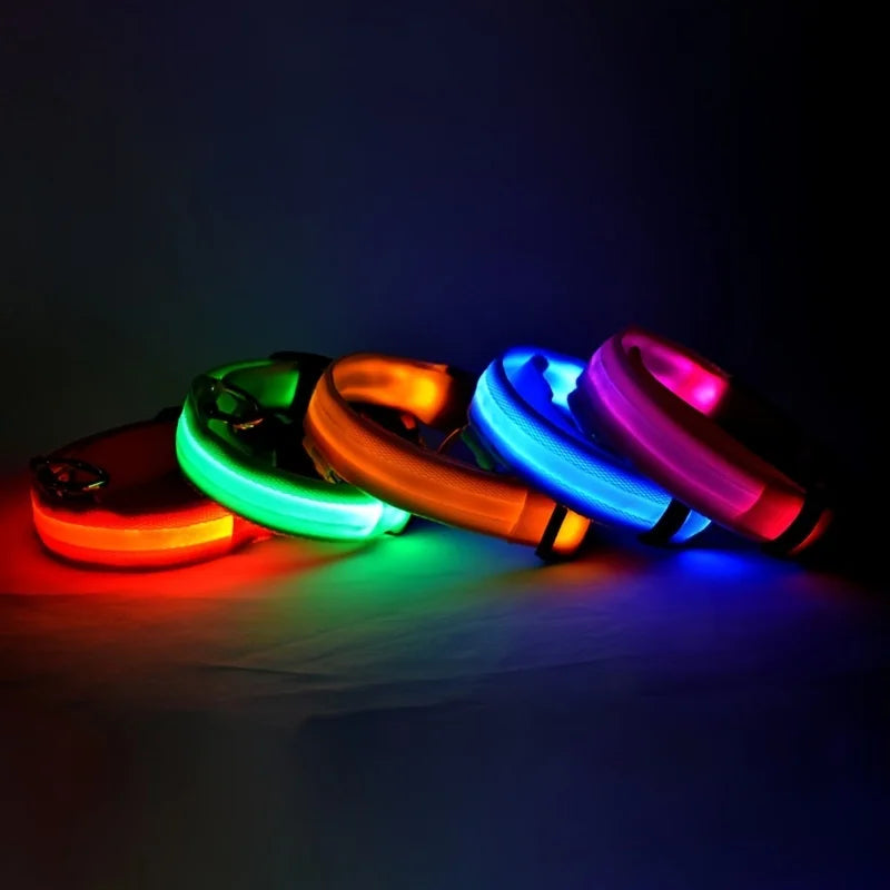 LED Nylon Dog Collar – Night Safety Glow for Dogs