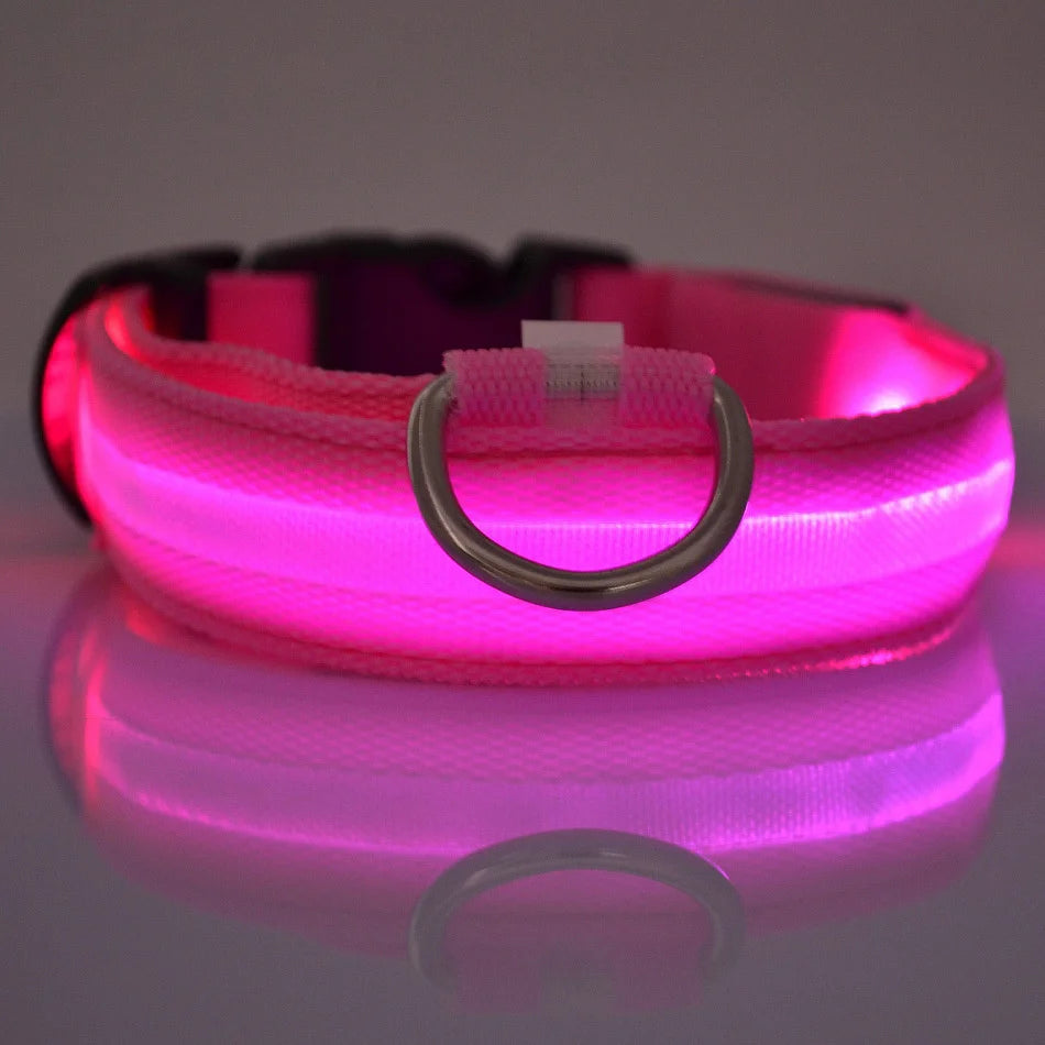 LED Nylon Dog Collar – Night Safety Glow for Dogs