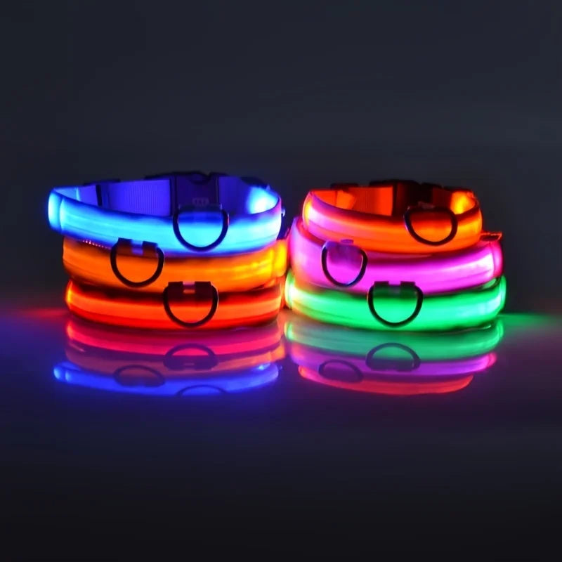 LED Nylon Dog Collar – Night Safety Glow for Dogs