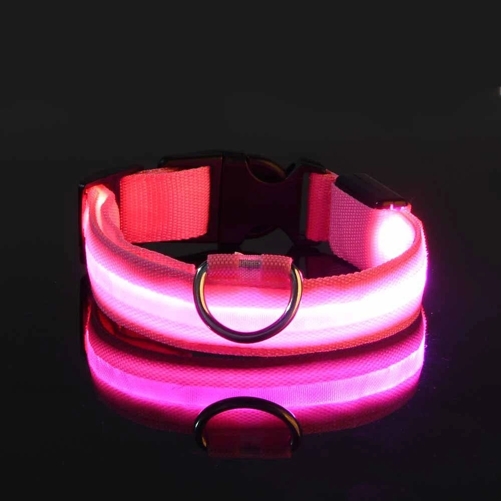 LED Nylon Dog Collar – Night Safety Glow for Dogs