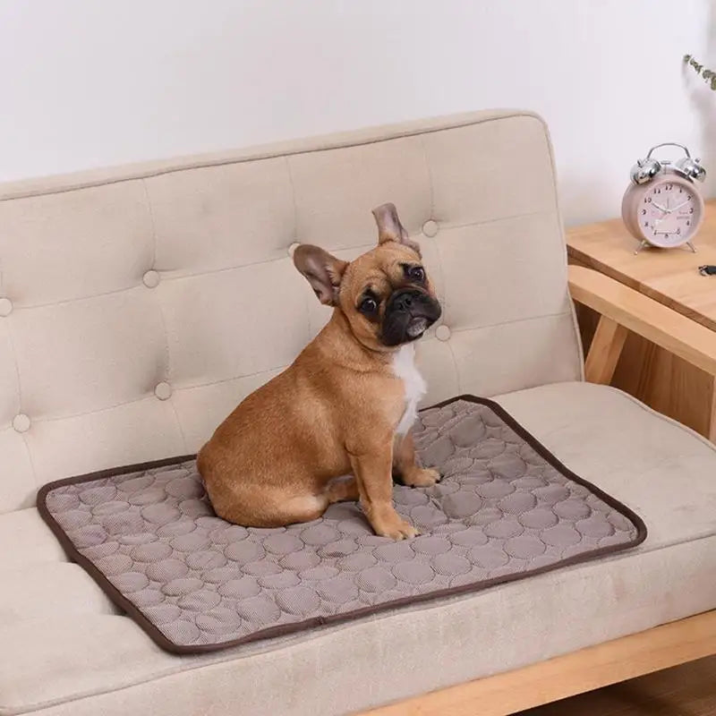 Breathable Cooling Pet Mat for Dogs & Cats – Washable Summer Pad