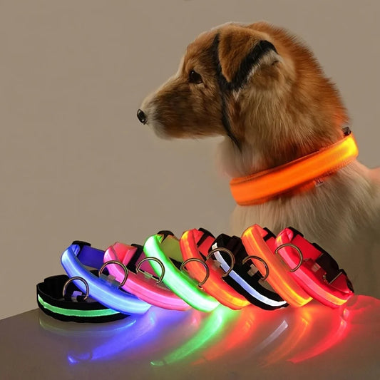 LED Nylon Dog Collar – Night Safety Glow for Dogs